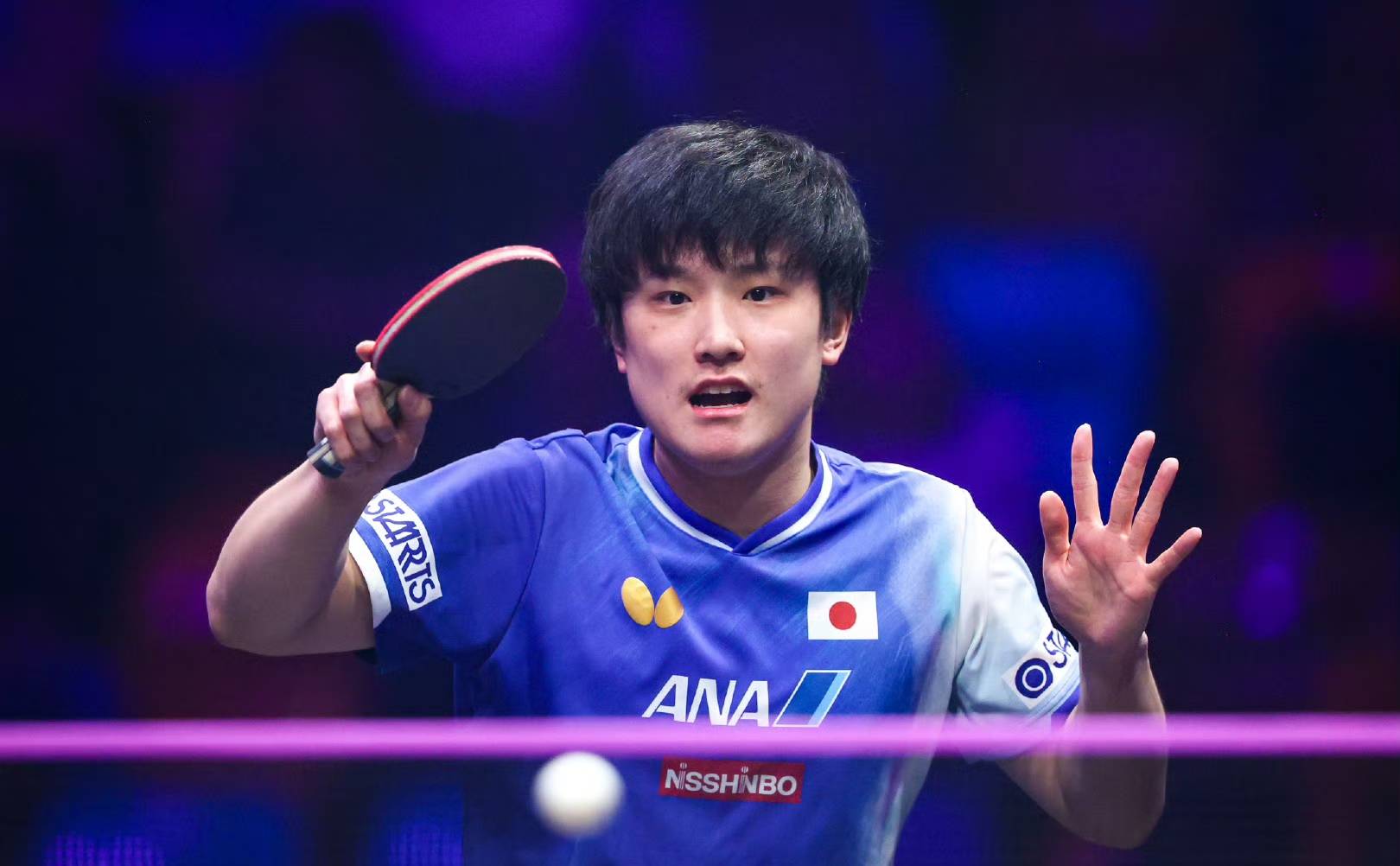 开云体育入口-葡萄牙队险胜德国队，张本智和高光表现