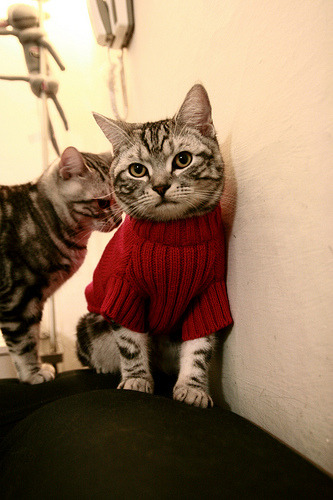 天体风暴，文班亚马如何用一场比赛终结两个时代的想象