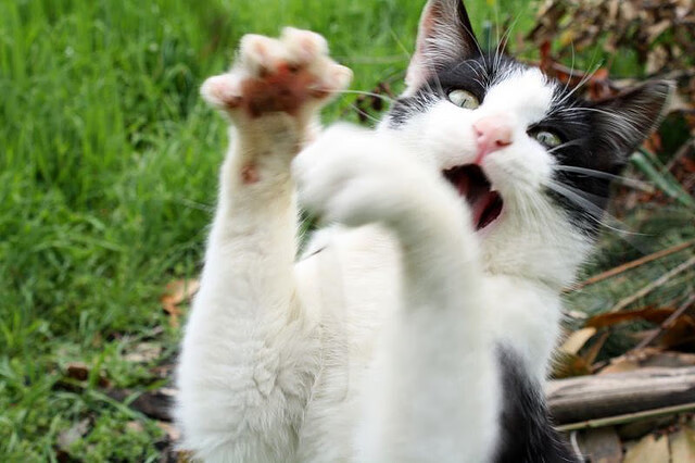 火力全开,英雄登场,上海队压制深圳,贝恩关键接管诠释奥运周期真谛