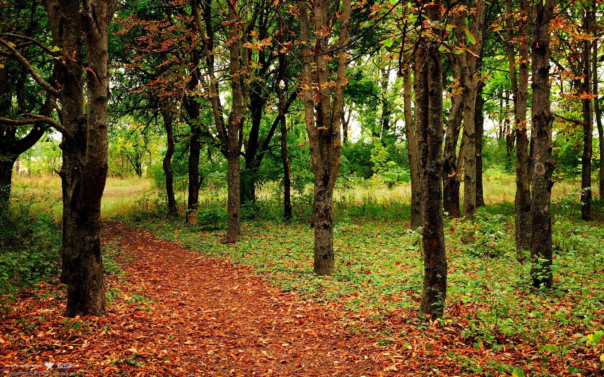跨越项目的体育精神，东决血战与曼联北欧远征启示录
