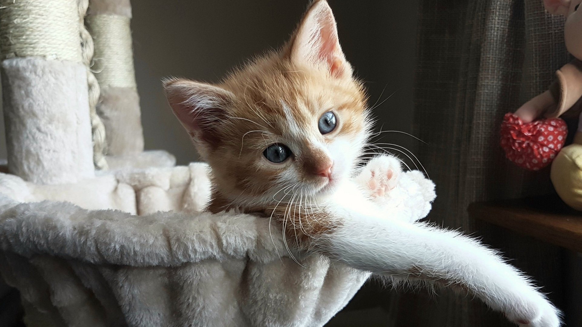 阿克比赛走势一手掌控，巴西精准打穿摩洛哥，一场战术执行的教科书