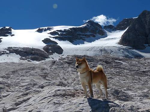 英格拉姆单骑破阵！末节19分击溃独行侠，马刺新王登基之夜