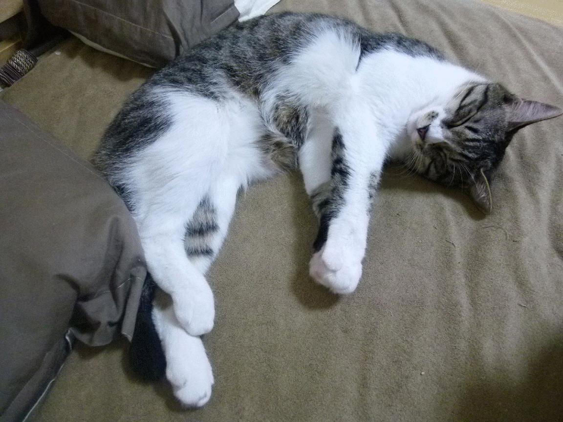 铁腰横刀，赖斯以英格兰的冷雨，浇灭伯纳乌的烈焰