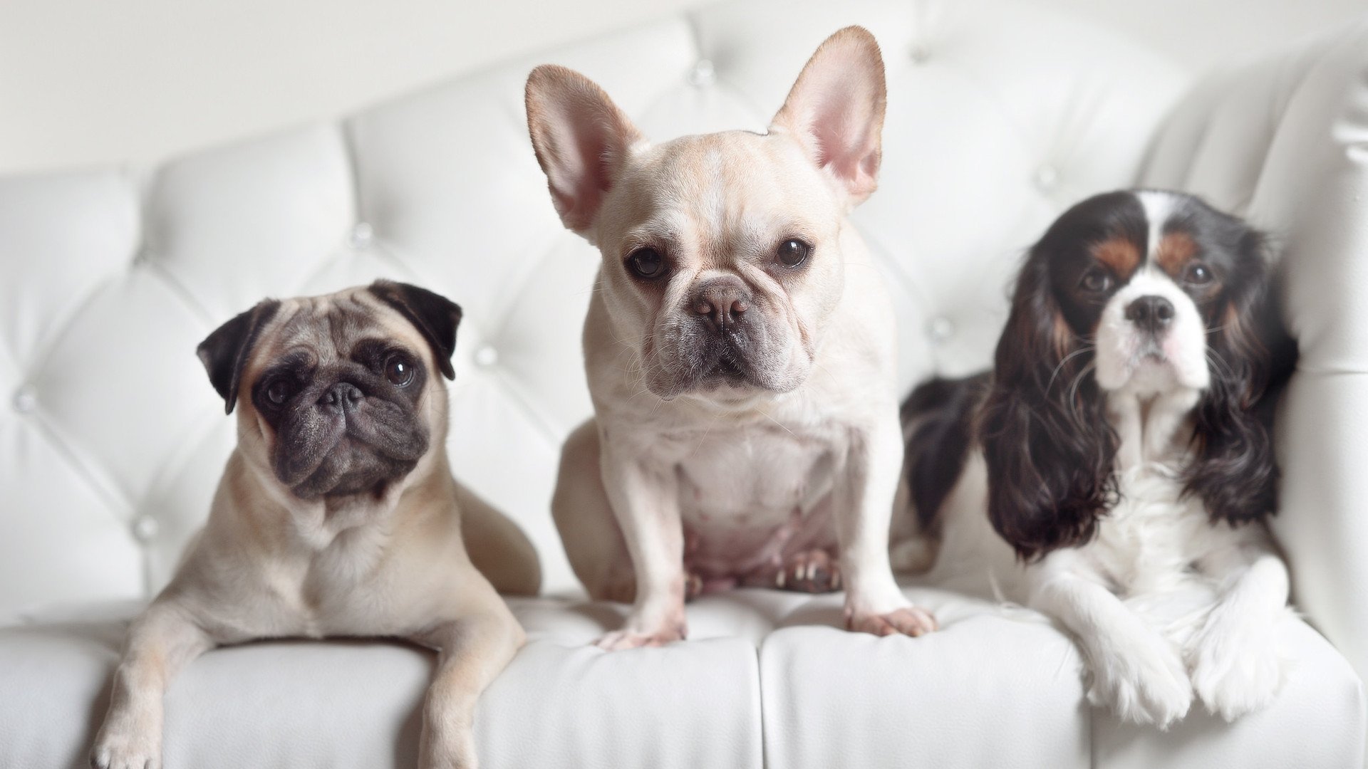 开云官网-欧冠淘汰赛之夜与库里的稳定输出，跨越领域的体育传奇