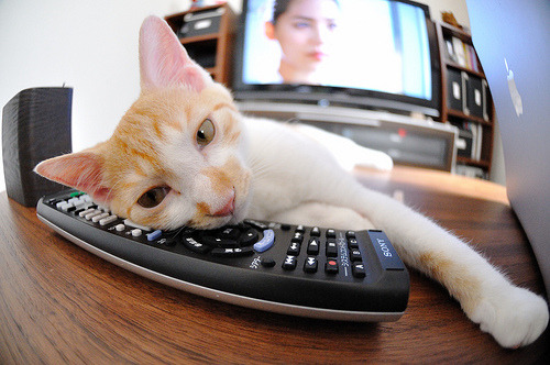 绿茵启示录，马丁内利的突破与克罗地亚的冷静，解读足球的悬念终结者