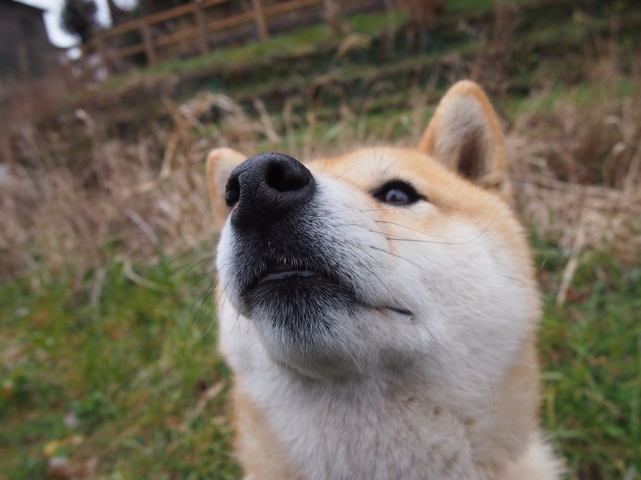 浓眉哥狂砍30+20统治禁区,湖人加时鏖战险胜热火