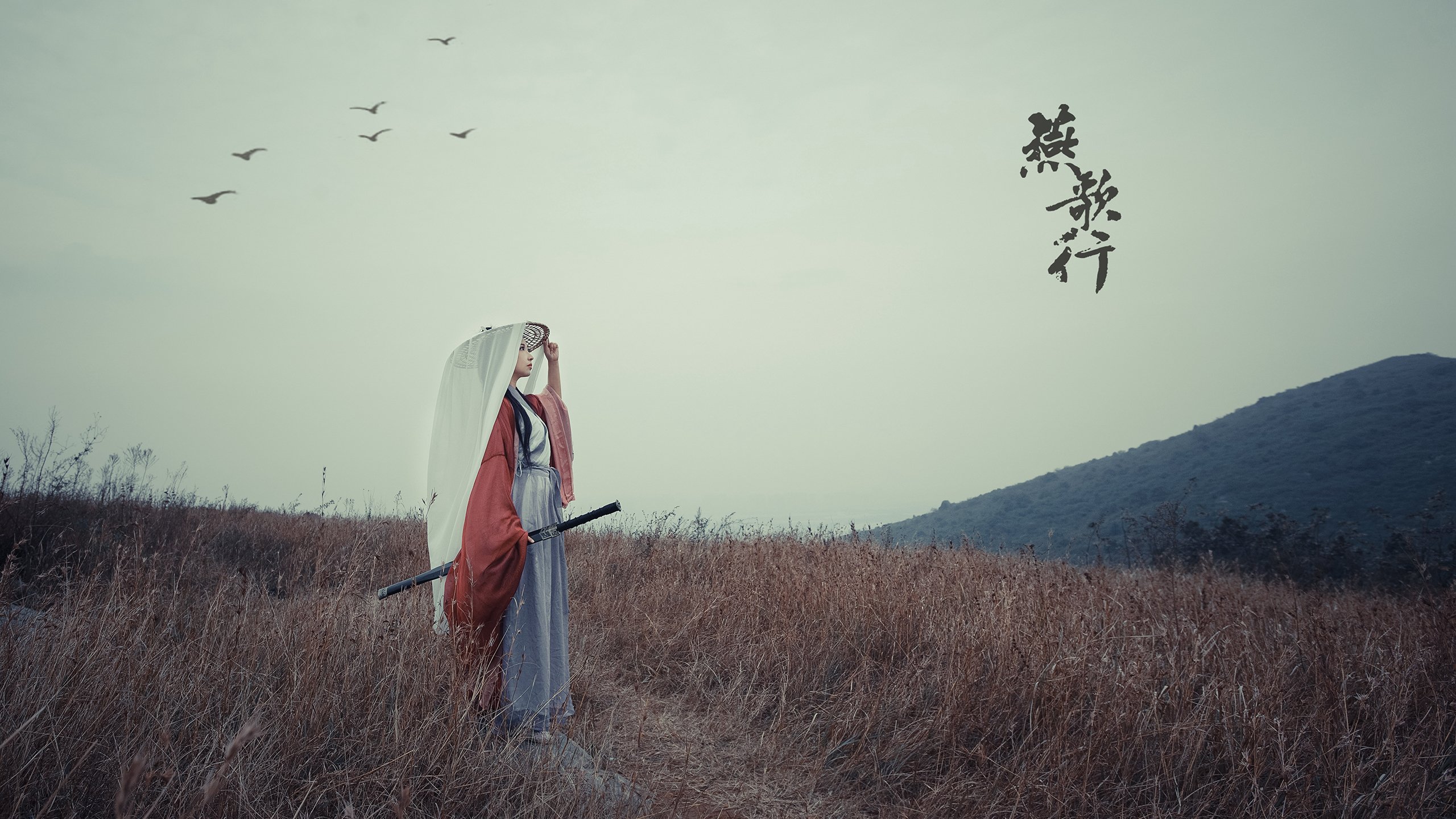 开云平台-热火力克森林狼，布克数据全面爆炸书写传奇之夜