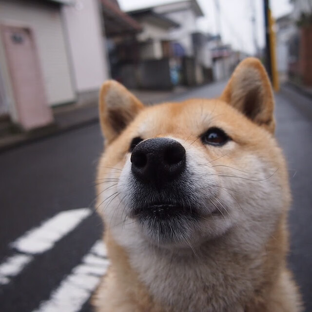 开云体育app-2026世界杯焦点战，加纳强势压制秘鲁，非洲雄狮咆哮北美赛场