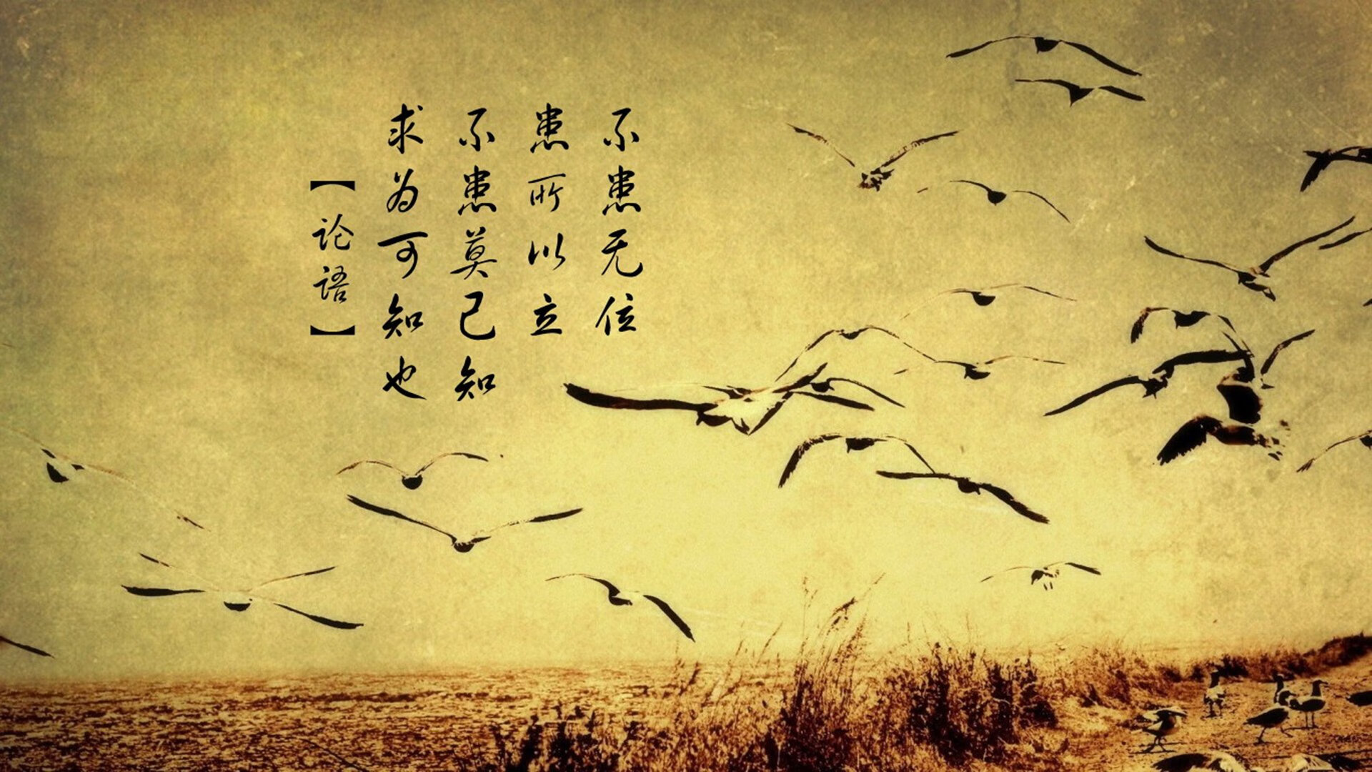 当瑞士精工遭遇丹麦童话,本泽马的数据却在讲述另一个足球真理