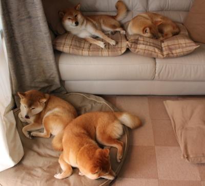 双线飓风，当塔图姆的火焰点燃北岸花园，灰熊的爪牙撕碎印第安娜的夜晚