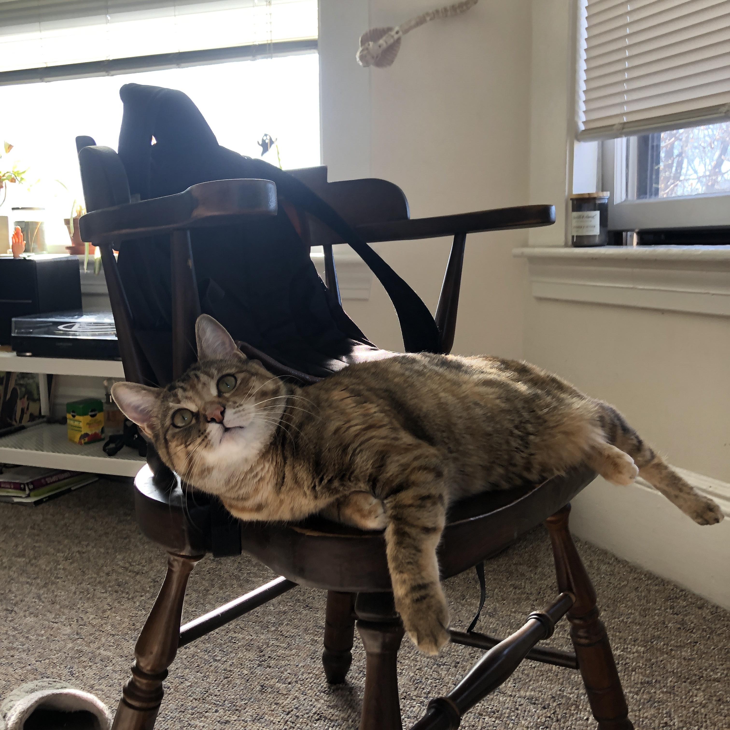 开云体育app-范弗利特41分献致命一传，萨林杰压哨绝杀！深圳跨洋热身赛险胜活塞