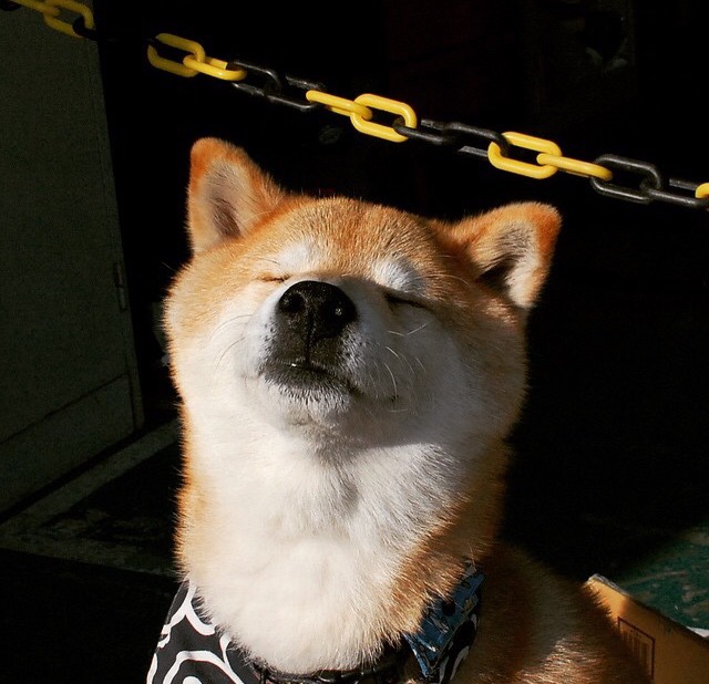 卡塞米罗加时爆发定乾坤,美国险胜尼日利亚显韧性