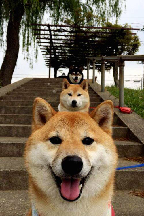 开云体育登录-牙买加的闪电，世界排名争夺战中连续得分如何击穿南非的防守壁垒