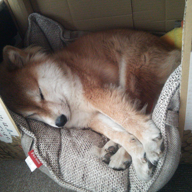 热火对阵上海队，莫兰特在焦点战中证明自己