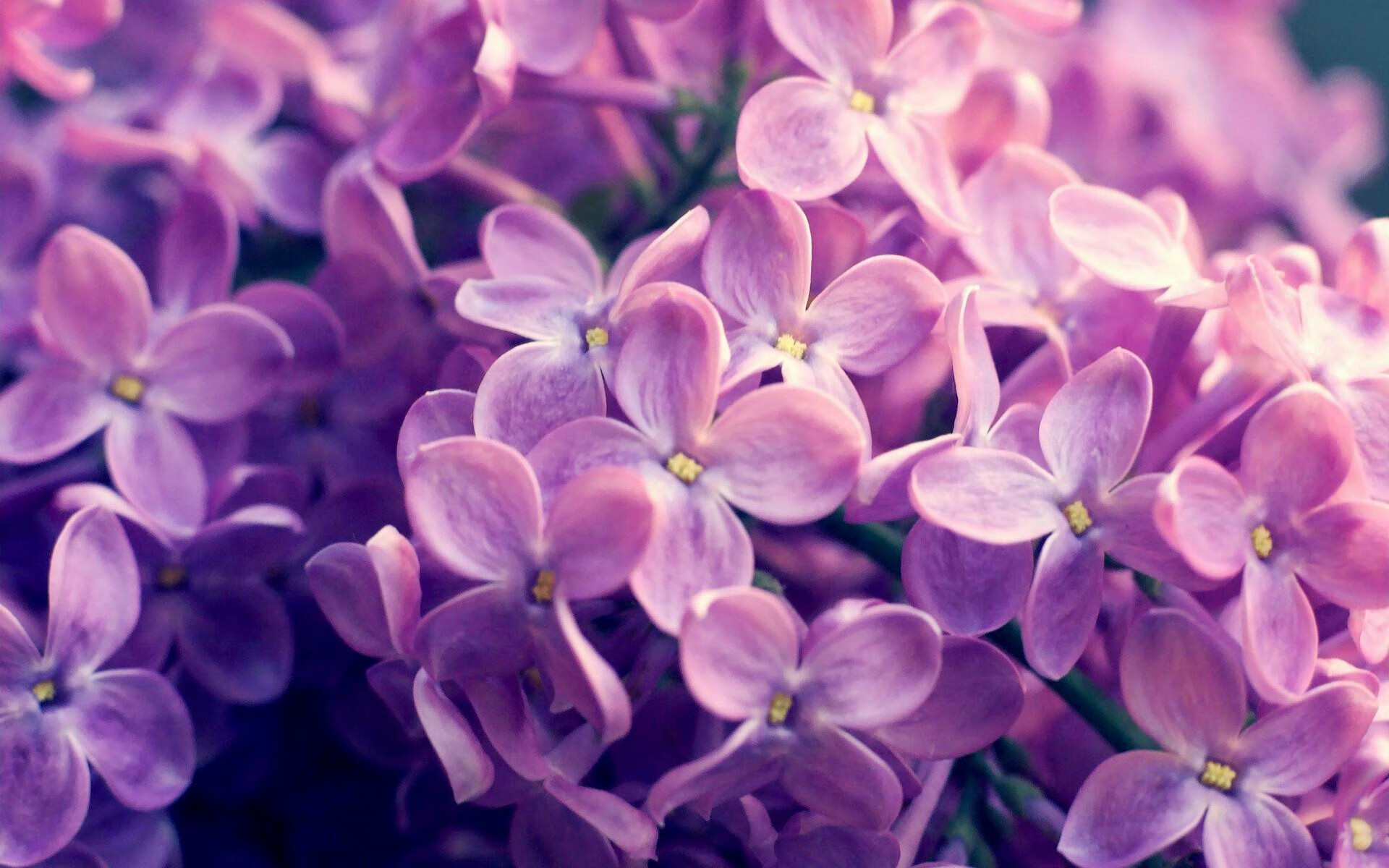 开云下载-小贾伦惊魂时刻，雄鹿祭出关键杀招终结火箭连胜梦