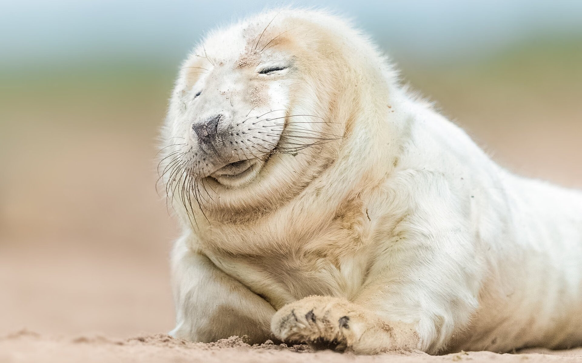 绿茵场上的篮图,2026世界杯焦点战,公牛式防守终结猛龙传说