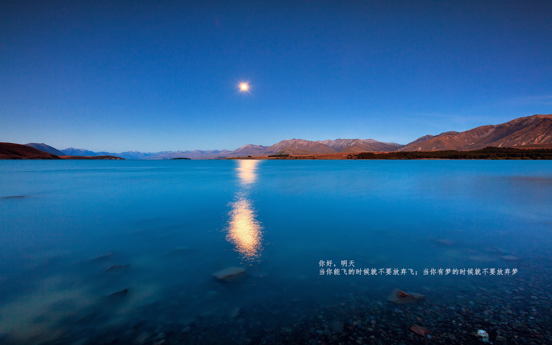 开云体育中国-足球双重奏，安哥拉碾压阿尔及利亚，阿圭罗德甲争冠战主宰乾坤