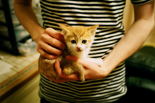 开云体育下载-末节逆转！恩比德关键爆发助深圳队力克新疆队