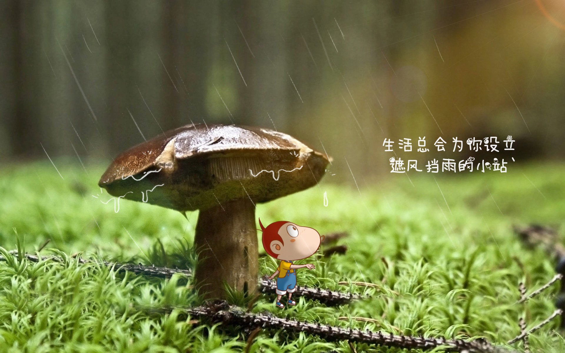 匈牙利完胜乌拉圭,吉鲁表现抢眼—2026世界杯F组掀起红色狂潮