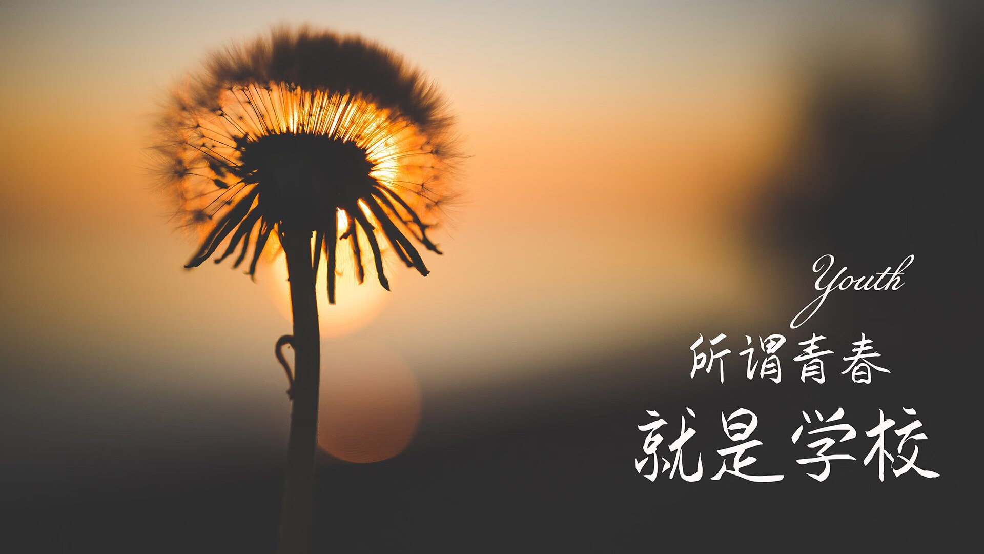 加纳铁壁防守铸就奇迹，德布劳内绝杀一击完胜日本