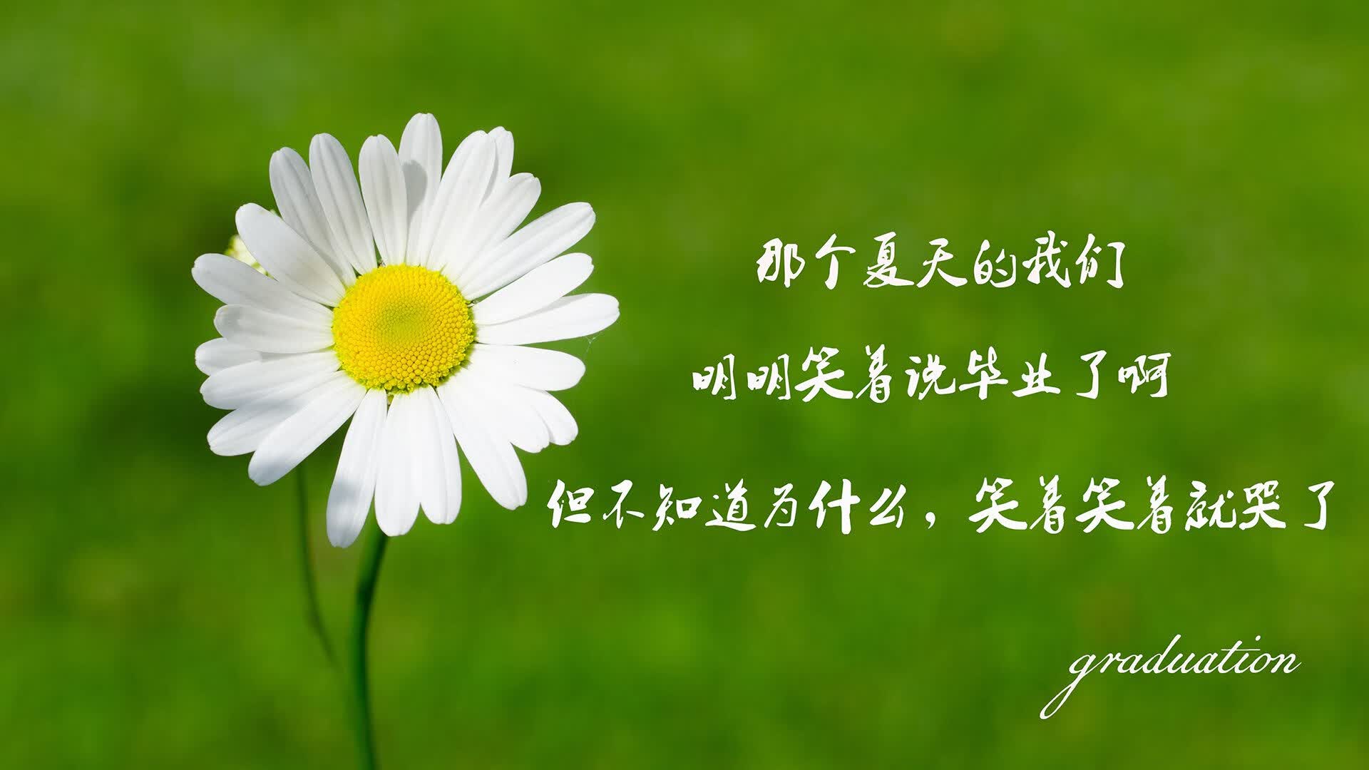 开云体育官网-绝杀之夜，罗马尼亚力克奥地利，萨内独木难支成悲情英雄